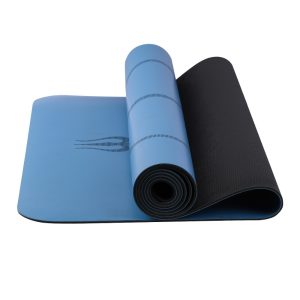 Thảm định tuyến 5