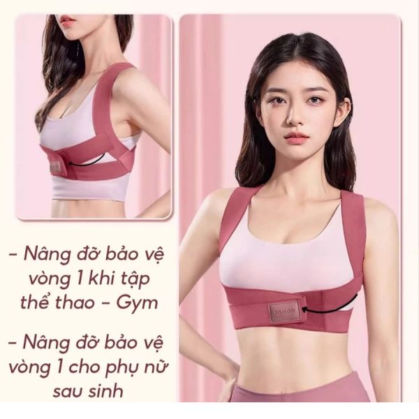 Đai ngực bảo vệ vòng 1 Enerfit