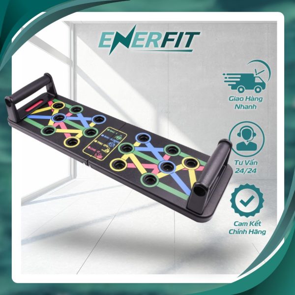 Dụng Cụ Chống Đẩy 12 Trong 1 Enerfit