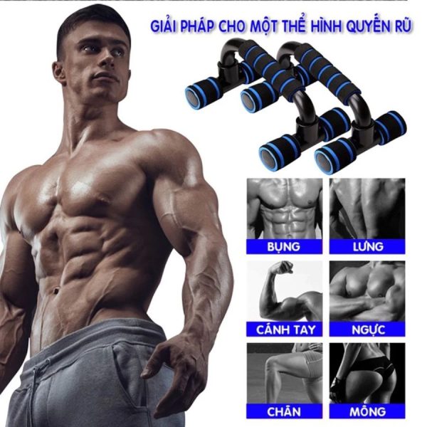Dụng cụ chống đẩy chữ U Enerfit