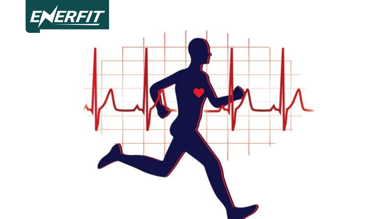 tập cardio mỗi ngày có tốt không