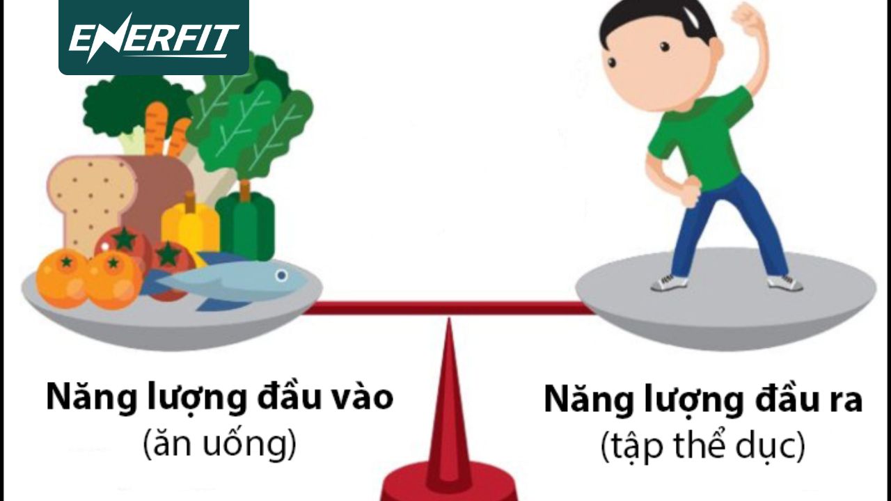 Hiểu rõ về calo