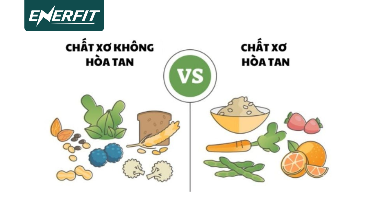 hân biệt chất xơ hòa tan và không hòa tan