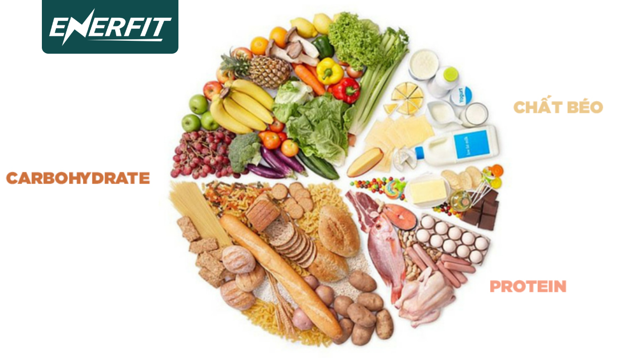 Cơ chế giảm mỡ của nhảy dây và vùng tác động đến mỡ bụng